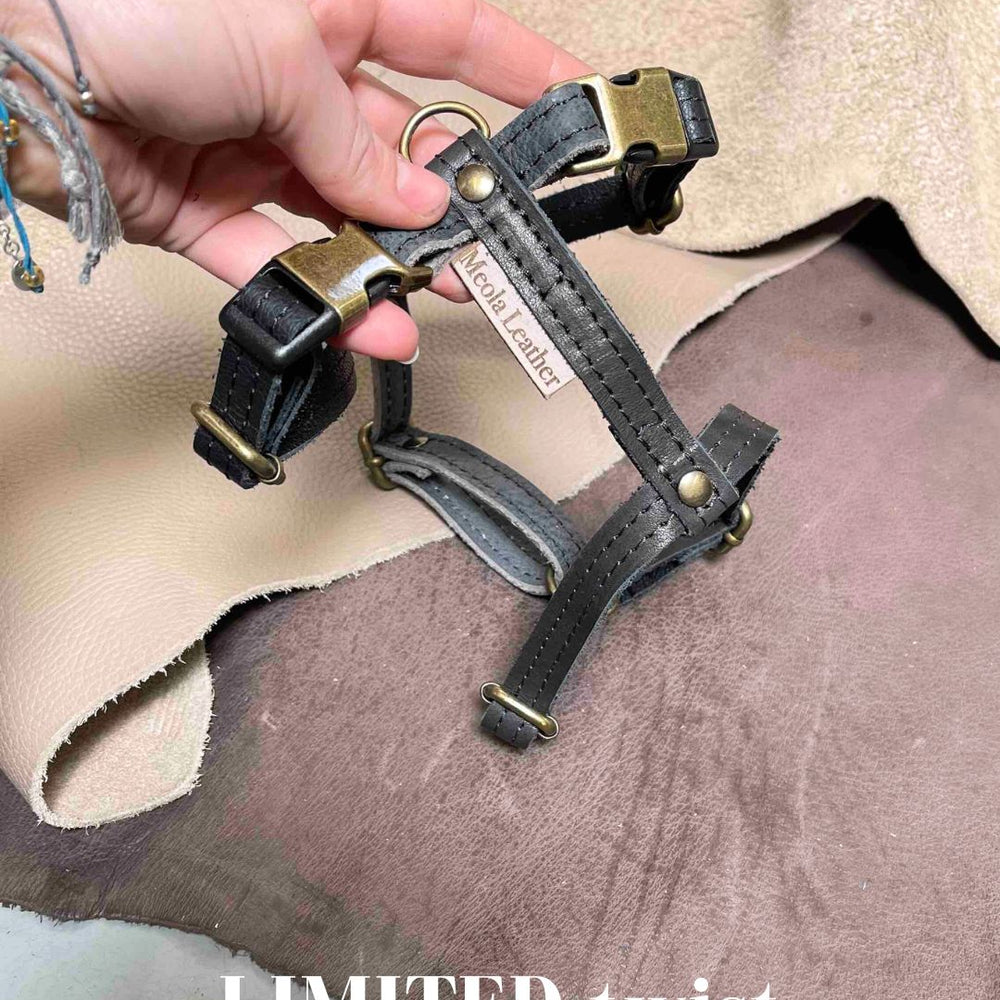 
                      
                        Limited collectie kleuren M tuigjes
                      
                    