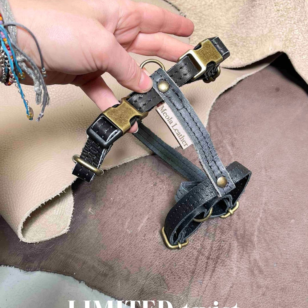 
                      
                        Limited collectie kleuren M tuigjes
                      
                    