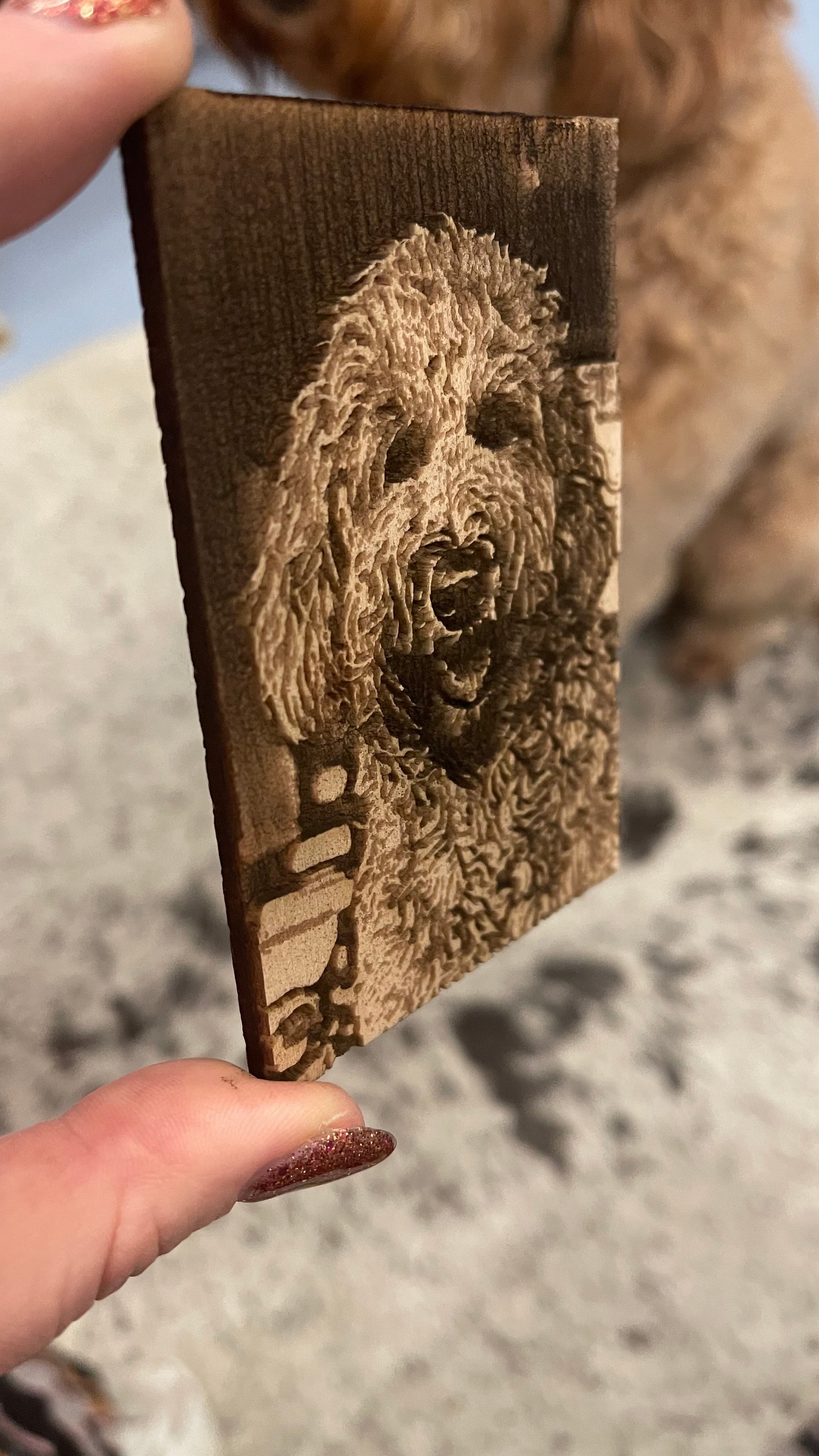 Foto van jouw hond op stuk hout vast laten leggen